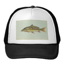 Carpe de miroir casquettes