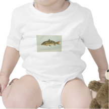 Carpe de miroir t-shirt