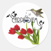 carpe diem autocollants