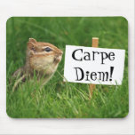 Carpe Diem ! Tamia avec le signe Tapis De Souris