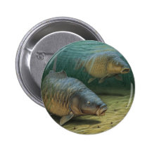 Carpe pêchant la carpe deux badge