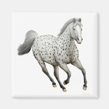 Carré d'aimant de cheval d'Appaloosa de léopard