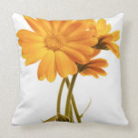 Carreau de Calendula Oreillers