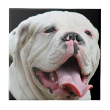 Carreau de céramique de bouledogue