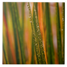 Carreau de céramique vert abstrait