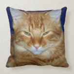 Carreau grincheux de chat coussin
