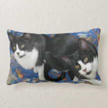 Carreau jumeau de chatons de smoking oreiller