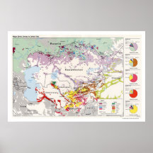 Carte 1993 de l'Asie de groupes ethniques Poster