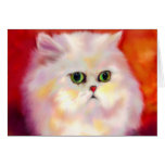 Carte blanche de portrait de chat persan