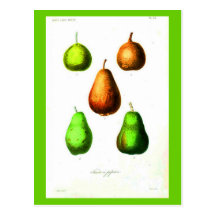 Carte-Botanicals-Poires 2 Cartes Postales