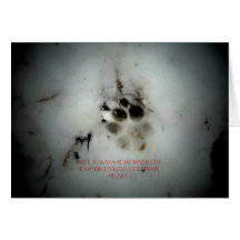 Carte canine de Condolance de sympathie