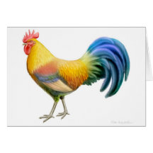 Carte colorée de coq d'Ardenner