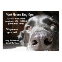 Carte d'affaires et de rendez-vous de spa de chien carte de visite