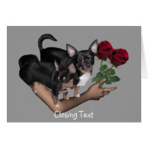 Carte d'amour de roses de chiwawa