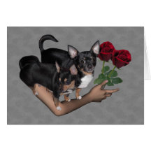 Carte d'amour de roses de chiwawa