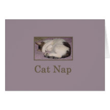 Carte d'amusement de petit somme de chat