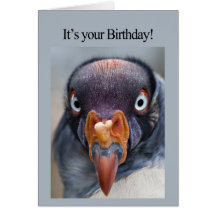 Carte d'anniversaire affamée de vautour
