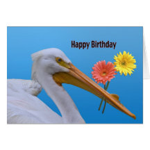 Carte d'anniversaire américaine de pélican blanc