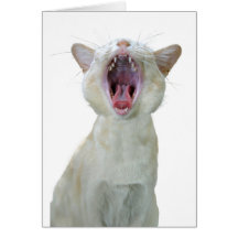 Carte d'anniversaire de chat birman