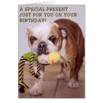 Carte d'anniversaire de chien de Taureau cartes