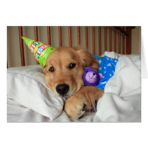 Carte d'anniversaire de golden retriever