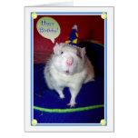Carte d'anniversaire de rat