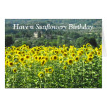 Carte d'anniversaire de tournesols