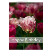 Carte d'anniversaire de tulipes | Geburtstagskarte