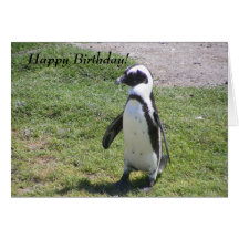 Carte d'anniversaire heureuse de pingouin !