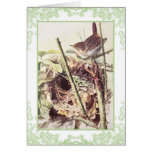 Carte d'anniversaire vintage de roitelet
