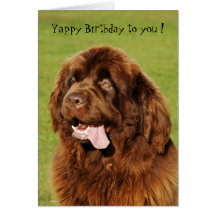Carte d'anniversaire Yappy de Terre-Neuve