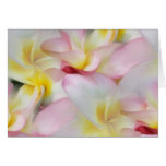 Carte d'aquarelle de Plumeria