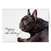 Carte de bouledogue français de joyeux anniversair
