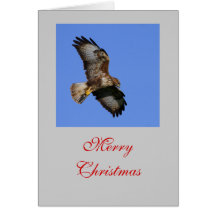 Carte de Buzzard de chasse