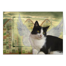 Carte | de chat d'ange avec la sympathie la plus p