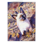 Carte "de chat siamois"