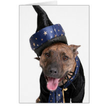 Carte de chien de Halloween