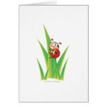 Carte de coccinelle