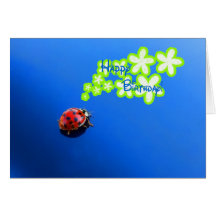 Carte de coccinelle de joyeux anniversaire