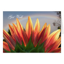 Carte de ~ d'arc-en-ciel de tournesol