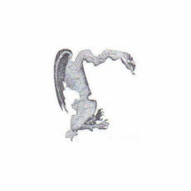 carte de dragon photos en relief