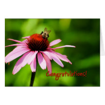 carte de félicitations - abeille et coneflower