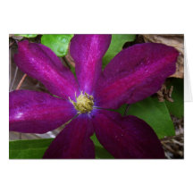 Carte de fleur (blanc)