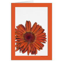 Carte de Gerbera
