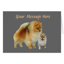 Carte de Greetng de copains de Pomeranian