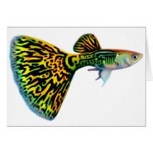 Carte de guppy de cobra de peau de serpent