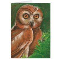 Carte de hibou