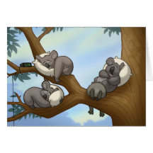 Carte de koala de sommeil