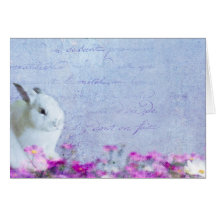Carte de lapin