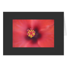 Carte de macro de fleur